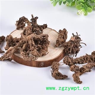 缬草根 秦岭野优质蜘蛛香 马蹄香 500g图2