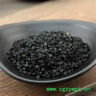 【买10送1】秦岭优质葱籽葱实大葱子大葱籽葱菜籽 山民自捋 日晒无硫500g图3