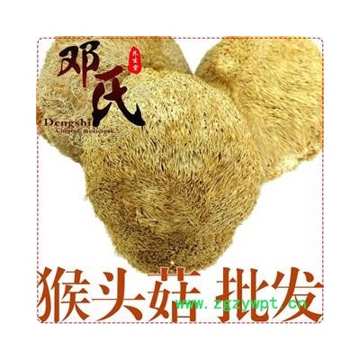 猴头菇选货1公斤起批散装批发猴头菌产地直供邓氏中药材批发