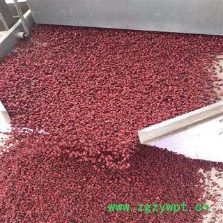 东北五味子辽五味子2021年秋北五味子无硫磺优质药材图2