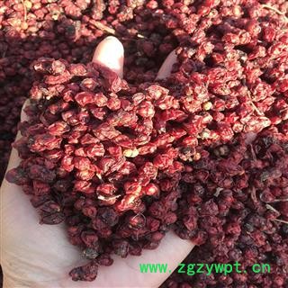 东北五味子辽五味子2021年秋北五味子无硫磺优质药材图4