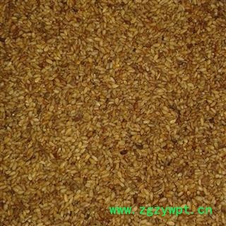 柏子仁 统去壳 产地 山东省枣庄市台儿庄区图2