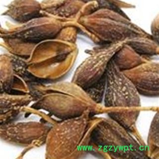 灵吉药业  连翘  别称:一串金、旱连子、黄奇丹、连壳、黄花条、黄链条花、青翘、落翘、黄绶带、黄寿丹、黄金条     地道药材  货真价实图2