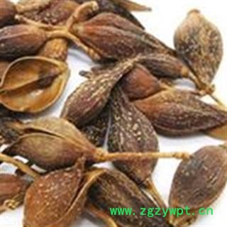 灵吉药业  连翘  别称:一串金、旱连子、黄奇丹、连壳、黄花条、黄链条花、青翘、落翘、黄绶带、黄寿丹、黄金条     地道药材  货真价实图4