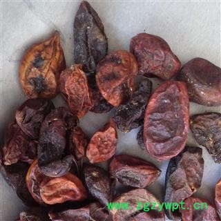 灵吉药业  气果 别名：气包 赤瓟 赤包 山屎瓜   优质正品图2