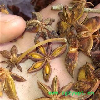 灵吉药业  八角茴香  八角   产地直销 低价出售图2