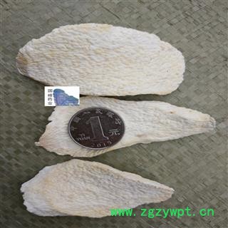 山药  精品淮山药 无硫磺（出口级别）低价销售 国峰药业 重在品质 产地 河南省图2