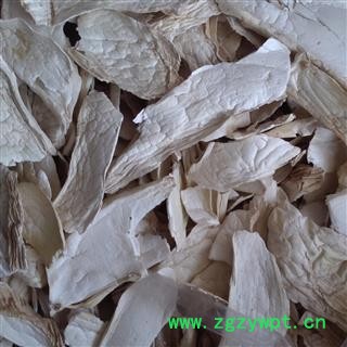 灵吉药业  别名：杏鲍菇、 刺芹侧耳  优质 正品图3