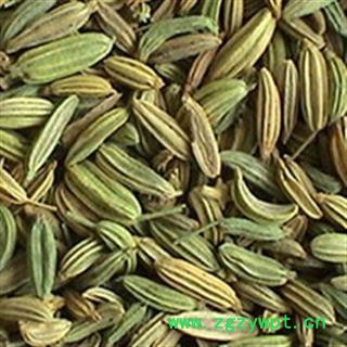 灵吉药业 小茴香  产地直销 量大从优图2