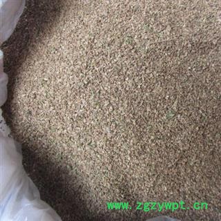 蛇床子 统 产地 广西壮族自治区南宁市上林县图3