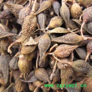 生晒连翘 统 无硫 产地 陕西省商洛市柞水县 库存 4000公斤可售图4