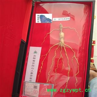 人参 珍品 盒长大概一米 长白山人参 全株  国峰药业 重在品质 产地 吉林省图2