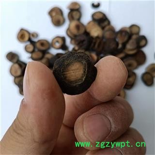 产地直销 枳实【广生堂中药材】批发零售中药材枳实500g图4