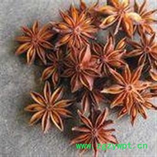 八角茴香 选 产地 广西壮族自治区梧州市万秀区图2