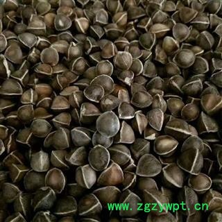 辣木籽 统货印度进口 纯正辣木籽、一手货源，合作共赢 一公斤起售图3