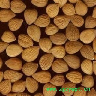 苦杏仁 精选 产地 湖南省常德市汉寿县图2