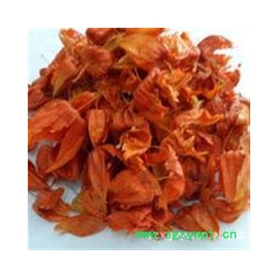 新货锦灯笼 统货 产地 吉林省通化市通化县