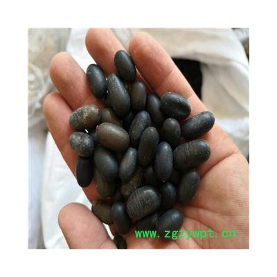 问心堂药业 供应 苦石莲 石莲子 无硫原生态手机实拍无修饰