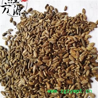 水飞蓟T 水飞雉 奶蓟 统货 专注品质 诚信经营图3