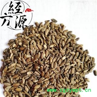 水飞蓟T 水飞雉 奶蓟 统货 专注品质 诚信经营图2