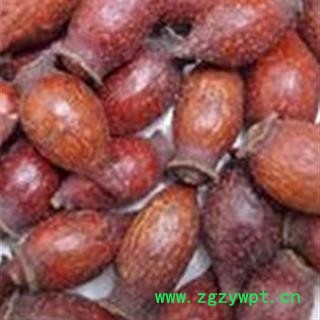 京辉药业 金樱子 统货 优质 促销图2