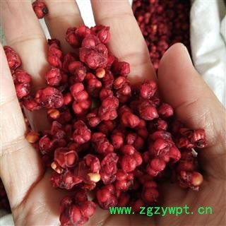 京辉药业 五味子 北五味子 辽五味 新货图2