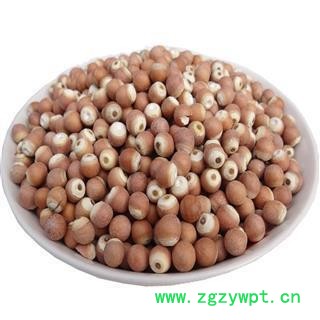 芡实 统，产地直销 重在质量 产地 广东省图2