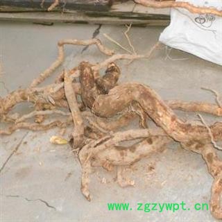 【新货】秦岭野生藤梨根洋桃根猕猴桃根 日晒无硫500g图2