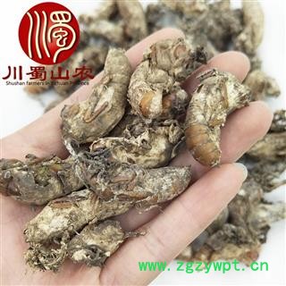 金蝉花个子无硫统货散装1公斤起批产地直供蝉菌川蜀山农中药材批发图2