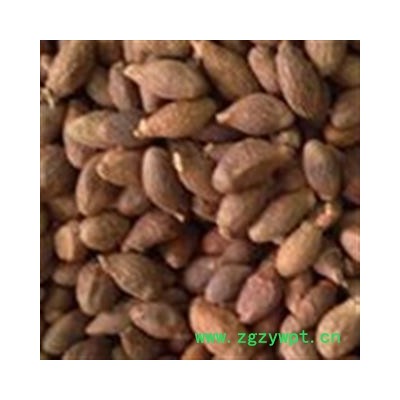 灵吉药业 胖大海 大海 优质统货 正品无硫