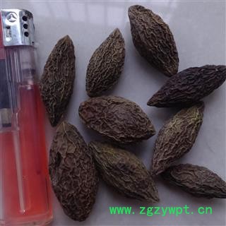 灵吉药业 青果 橄榄果 正品 批发各类中药材图2