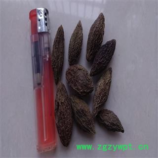 灵吉药业 青果 橄榄果 正品 批发各类中药材图4