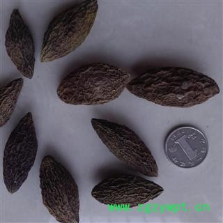 灵吉药业 青果 橄榄果 正品 批发各类中药材图3