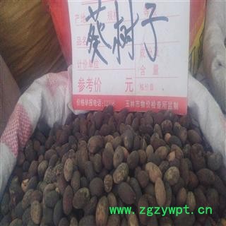 葵树子 统 产地 广西壮族自治区贵港市平南县图2