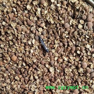 枸橘，枸橘李，臭橘，野橙子，铁篱寨，铁李寨， 切二半，切片，质量正品， 产地 河南省图2