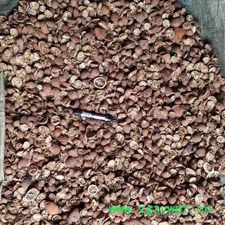 枸橘，枸橘李，臭橘，野橙子，铁篱寨，铁李寨， 切二半，切片，质量正品， 产地 河南省图4