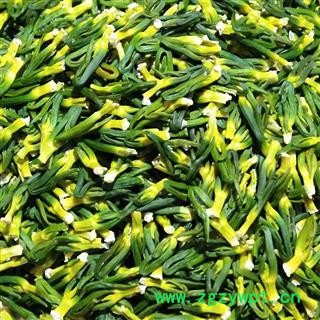 莲子心 莲子心精选货1.0-1.4 产地 湖南省岳阳市图3