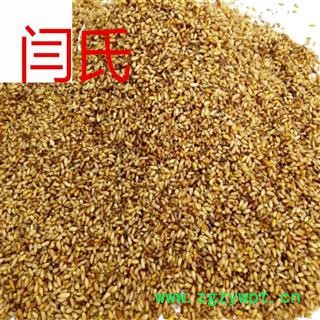 柏子仁 柏子仁大粒图3