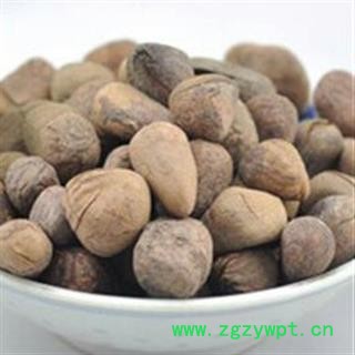 大枫子 统 产地 安国药市图2