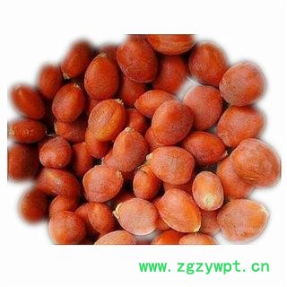 问心堂药业促销供应中药材 铁树果 别名凤凰蛋 铁树种子一件起批图2