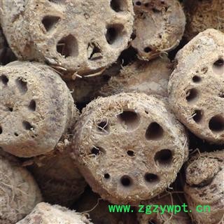 藕节 精品统货 正品 净货  产地 湖南省图3