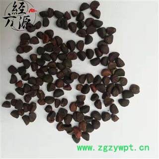 牵牛子黑丑T 正品  产地河南图3