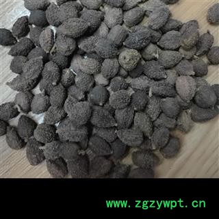 正品砂仁阳春砂精选高含量产地广东图2