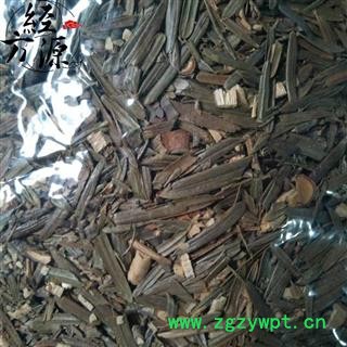 三尖杉BT 别名藏松 尖松 产地安徽图2