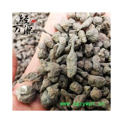 人参果C 蕨麻 甜味的品种人头七 开口箭 凤果 长寿果 统货个子