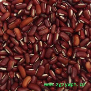 京辉药业 赤小豆 优质正品药用长粒赤小豆 批发零售各种规格中药材图3