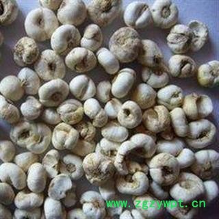 平贝母 选装平贝母 直径10毫米 无碎瓣 白色 今年新货 无虫蛀无霉变  产地 吉林省图2