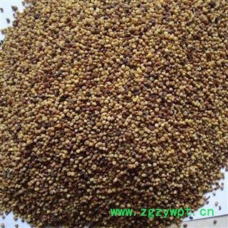 菟丝子 统 产地 宁夏回族自治区图2