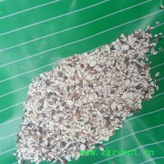 芡实 统  产地 广东省图2