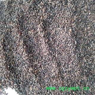 车前子 江西车前子精选货 产地 江西省图3